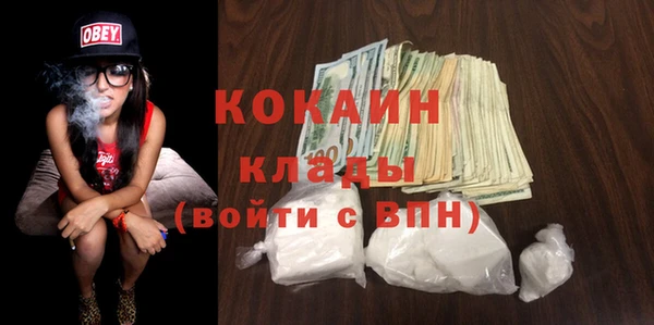 ECSTASY Богданович