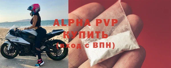 ECSTASY Богданович