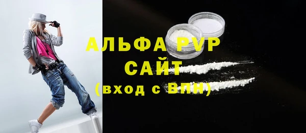 ECSTASY Богданович