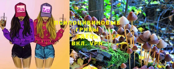 COCAINE Богородск