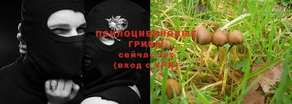 ECSTASY Богданович