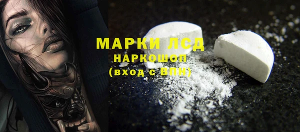 ECSTASY Богданович