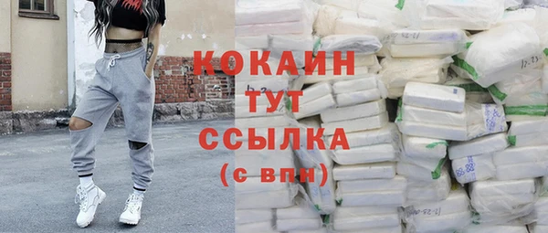 ECSTASY Богданович