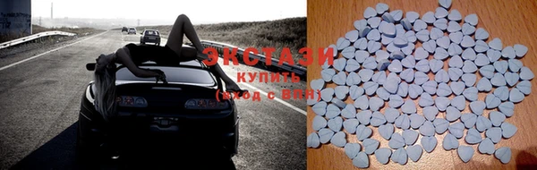 ECSTASY Богданович