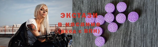 ECSTASY Богданович