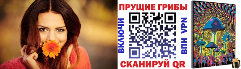 Псилоцибиновые грибы MAGIC MUSHROOMS  Шлиссельбург 